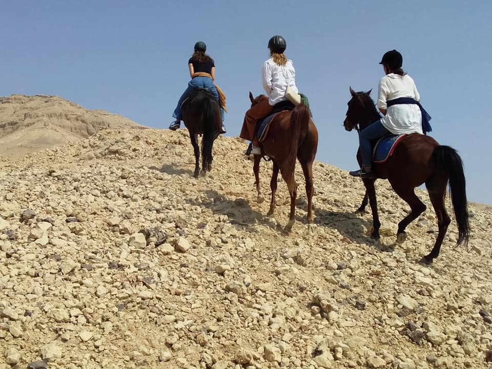 Luxor Stables